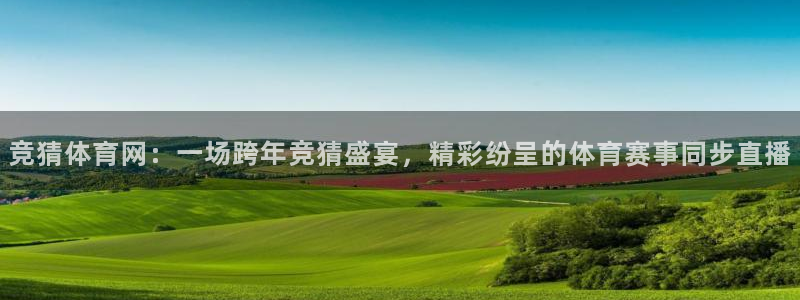 火凤体育免费直播平台：竞猜体育网：一场跨年竞猜盛宴，精彩纷呈的体育赛事同步直播