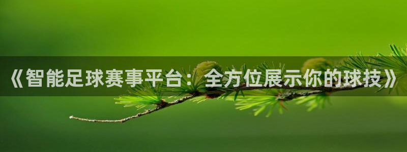 火凤体育赛事直播：《智能足球赛事平台：全方位展示你的球技》