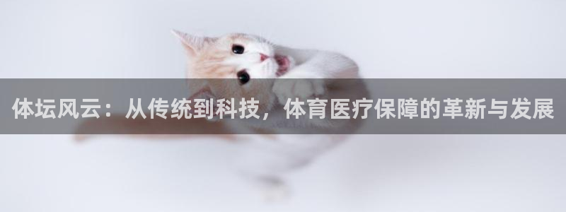火凤直播体育官网入口在线观看