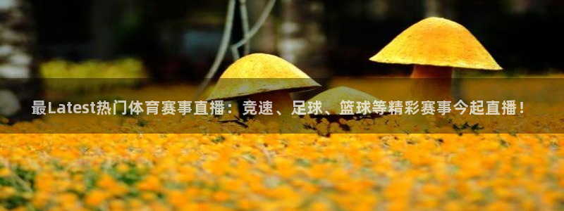 火凤体育直播免费比赛