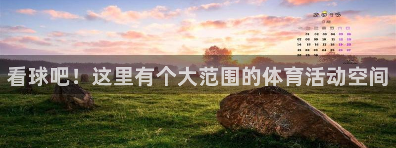 看球吧！这里有个大范围的体育活动空间