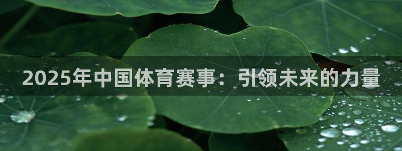 2025年中国体育赛事：引领未来的力量