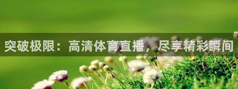 突破极限：高清体育直播，尽享精彩瞬间