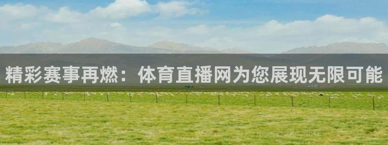 精彩赛事再燃：体育直播网为您展现无限可能