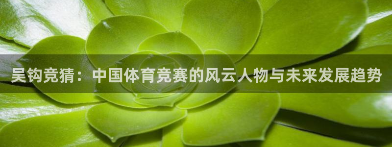 火凤体育nba直播在线观看：吴钩竞猜：中国体育竞赛的风云人物与未来发展趋势