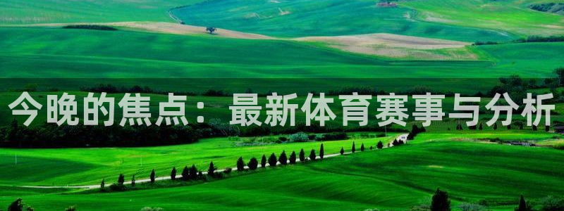 火凤体育直播免费比赛：今晚的焦点：最新体育赛事与分析