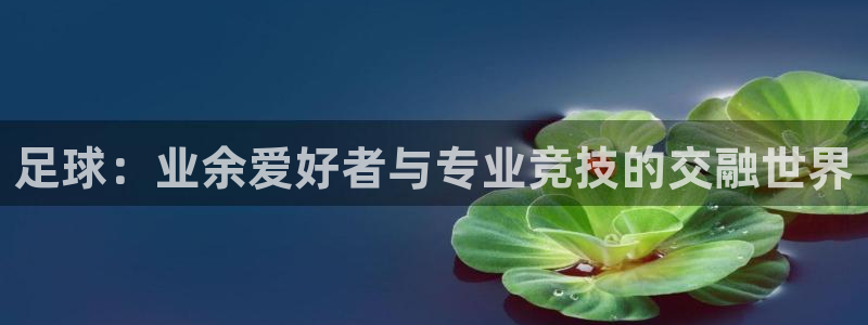 火凤直播体育官网：足球：业余爱好者与专业竞技的交融世界