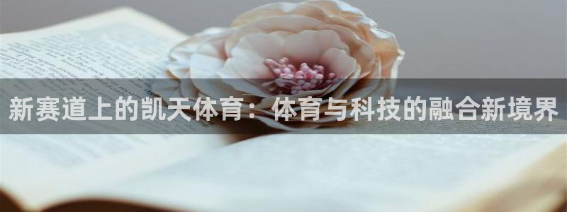 火凤直播nba赛事