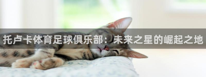 火凤体育：托卢卡体育足球俱乐部：未来之星的崛起之地