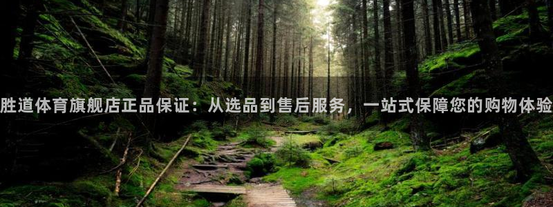 火凤体育直播免费比赛：胜道体育旗舰店正品保证：从选品到售后服务，一站式保障您的购物体验